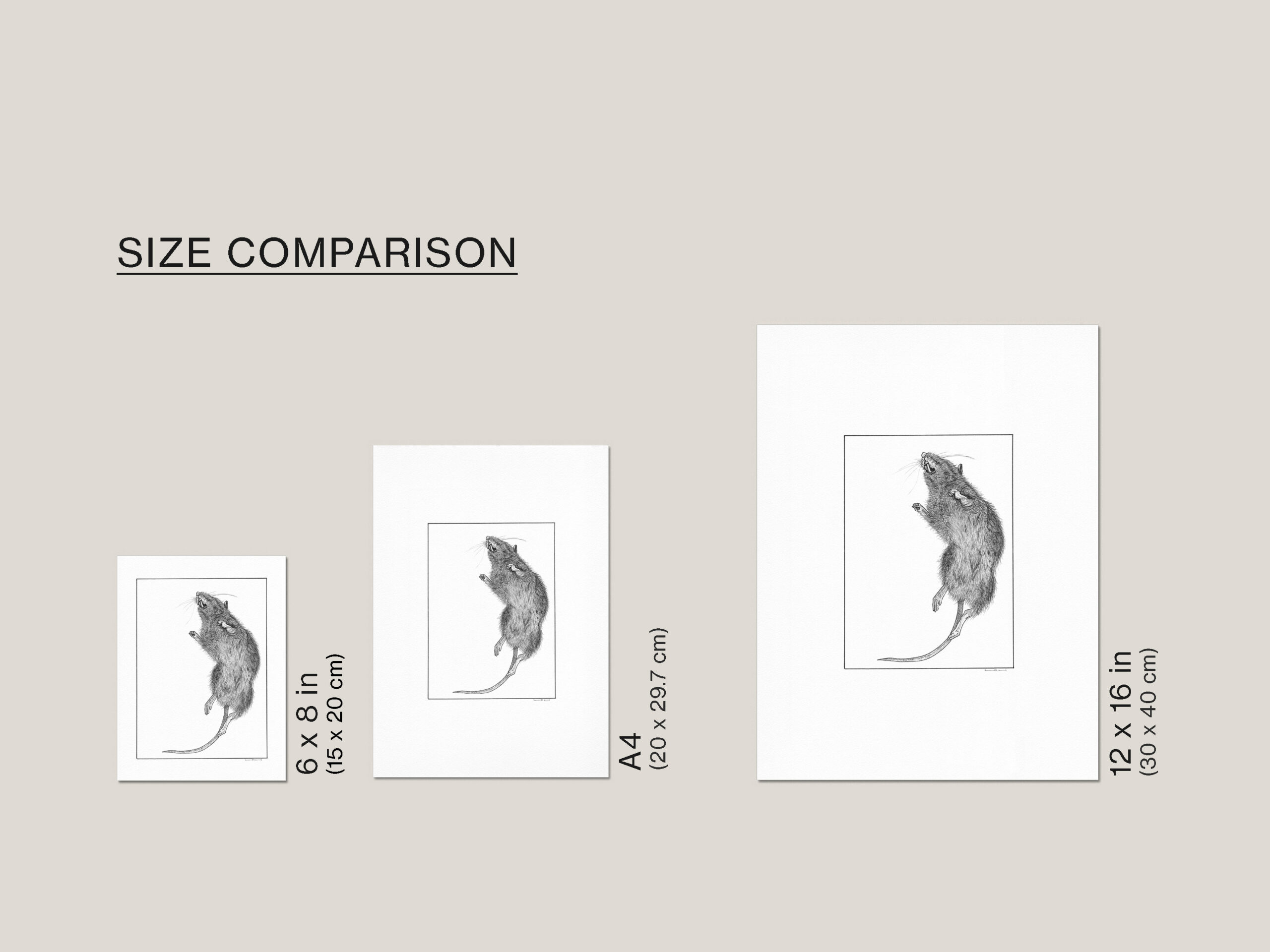 Size guide showing the Dead Rat fine art print available in 6 × 8 in (15 × 20 cm), A4 (21 × 29.7 cm) and 12 × 16 in (30 × 40 cm).