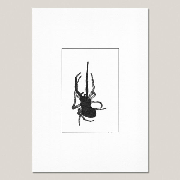 Dead Spider fine art print featuring a hand-drawn black ink spider on museum-quality paper.