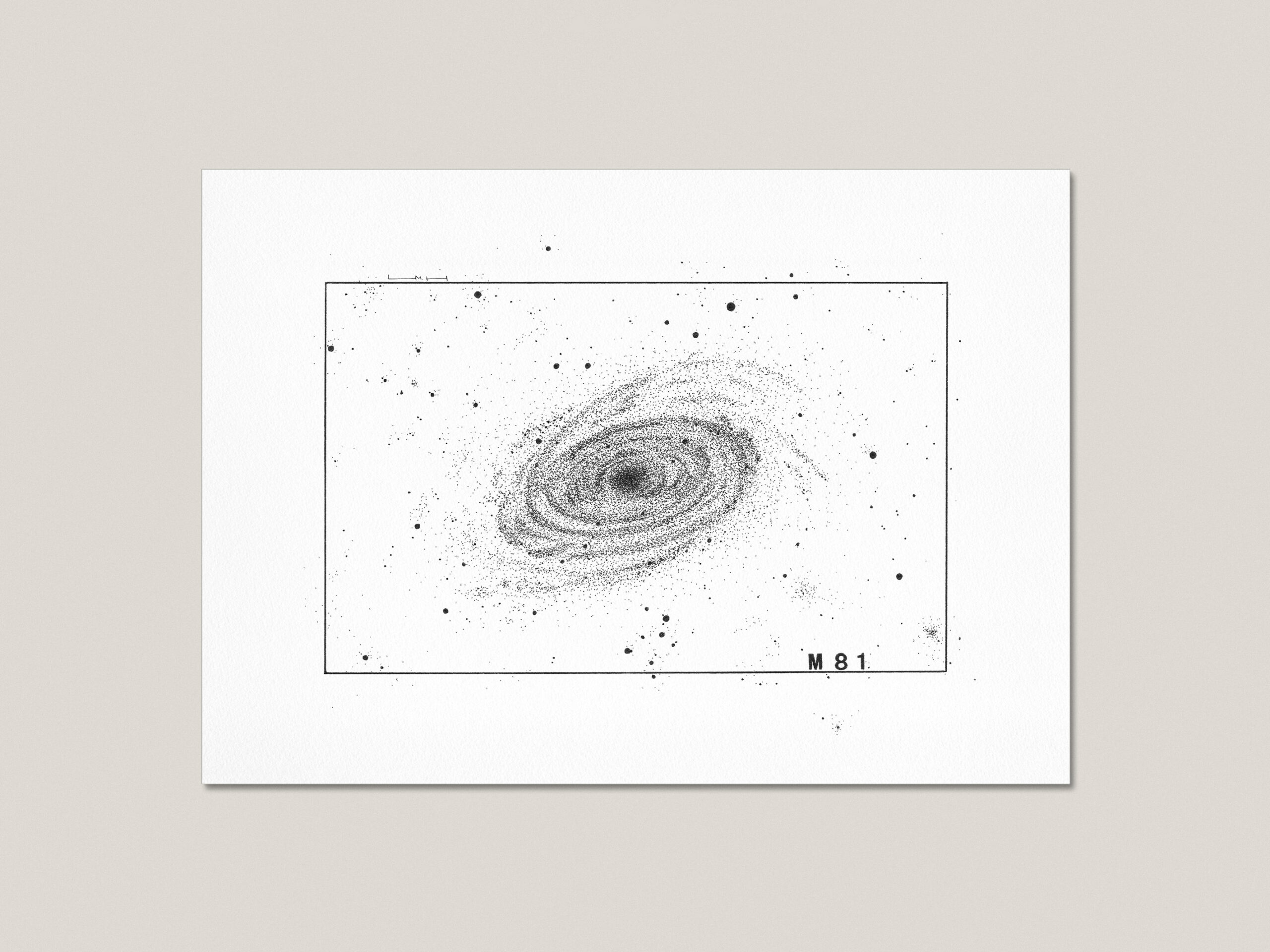 M81 fine art print featuring a hand-drawn black ink illustration of Bode’s Galaxy surrounded by stars.