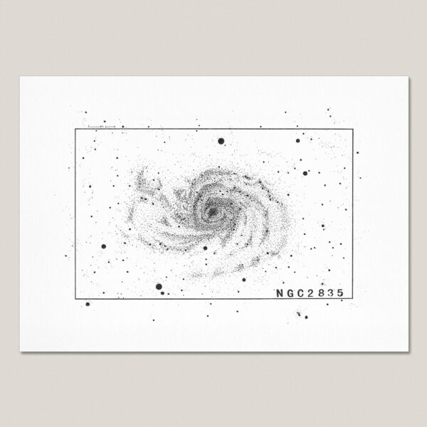 NGC 2835 fine art print featuring a hand-drawn black ink illustration of a spiral galaxy surrounded by stars.