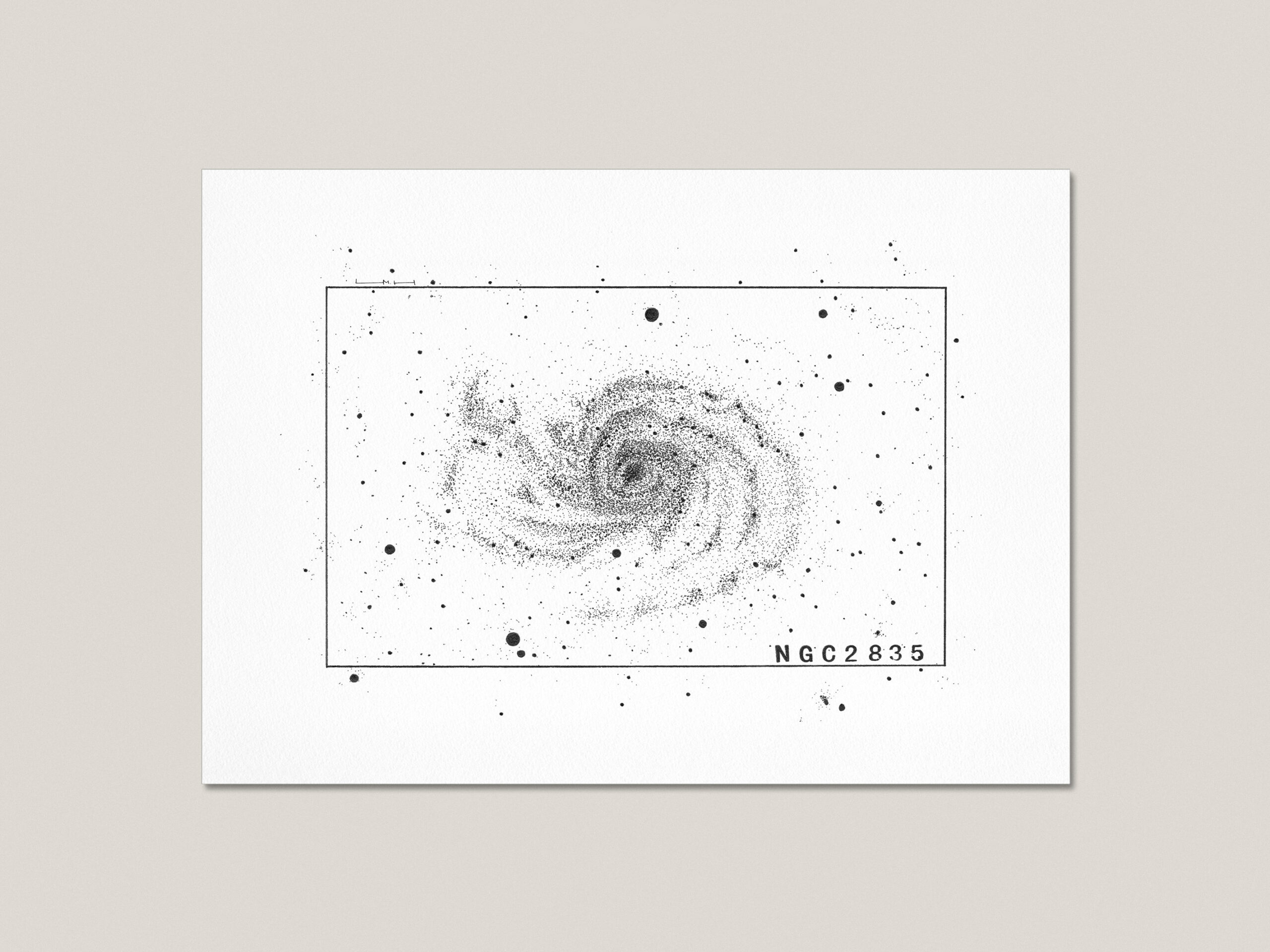 NGC 2835 fine art print featuring a hand-drawn black ink illustration of a spiral galaxy surrounded by stars.