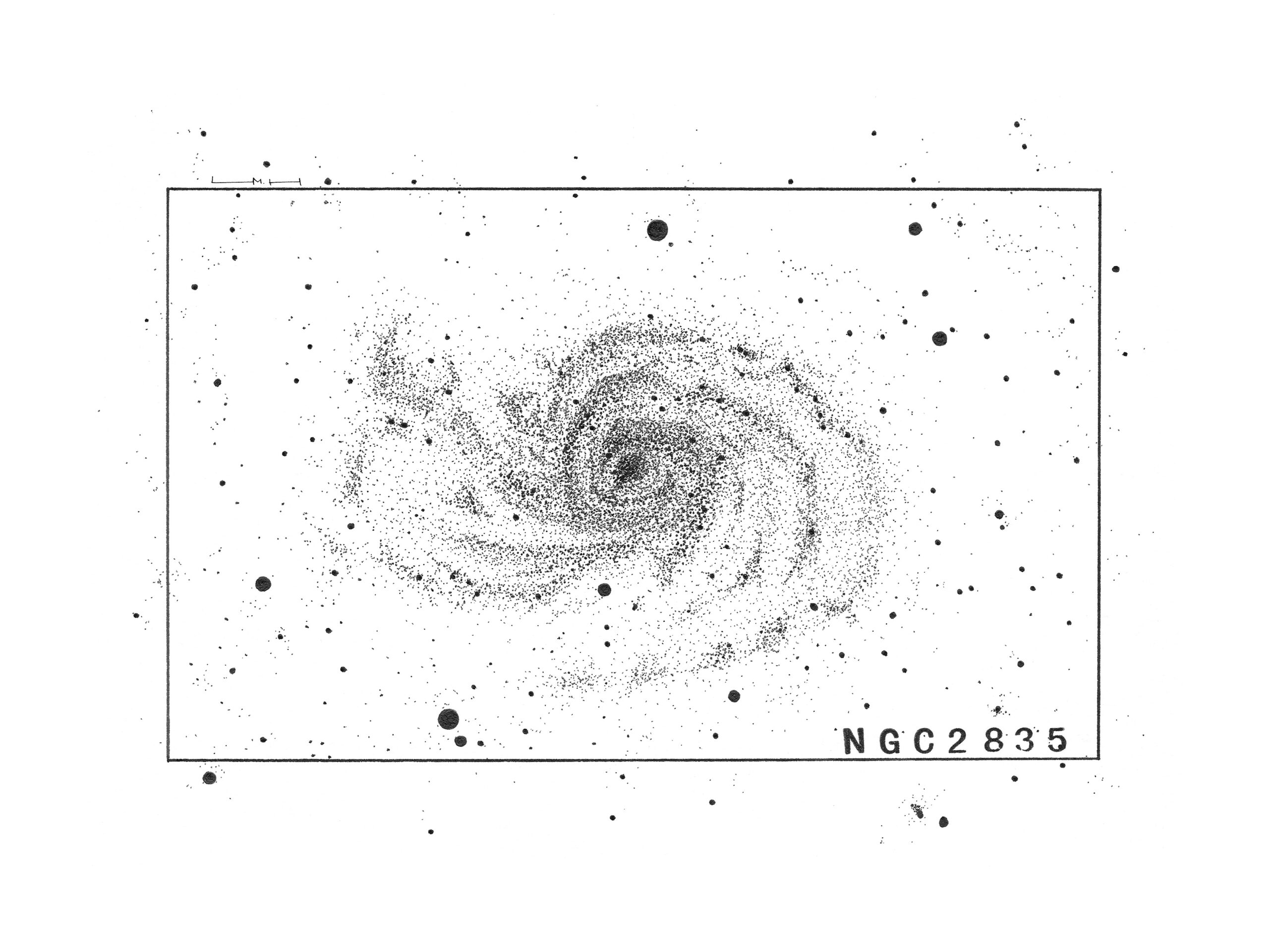 Original NGC 2835 ink drawing depicting a loosely formed spiral galaxy surrounded by a scattered field of stars.