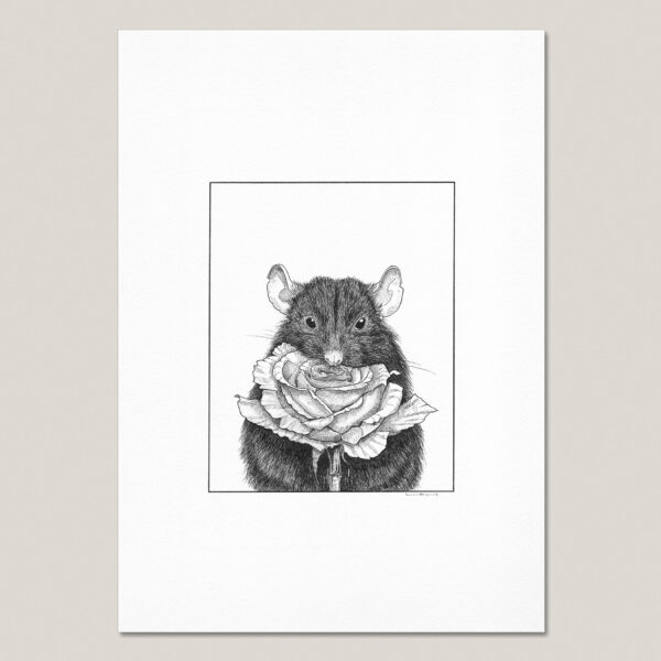 Black and white fine art print of a hand-drawn rat holding a large rose in front of its chest, printed with a white border on textured paper.