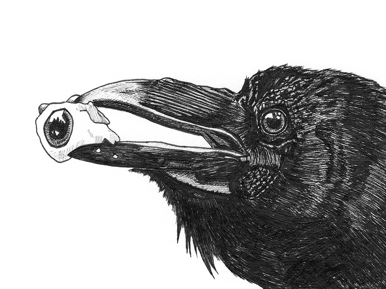 Close-up detail of the Third Eye Raven drawing showing intricate black ink feather textures and the raven holding an eyeball.