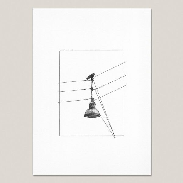 Fine art print of an original hand-drawn ink drawing featuring a crow perched on an urban streetlight in Copenhagen.