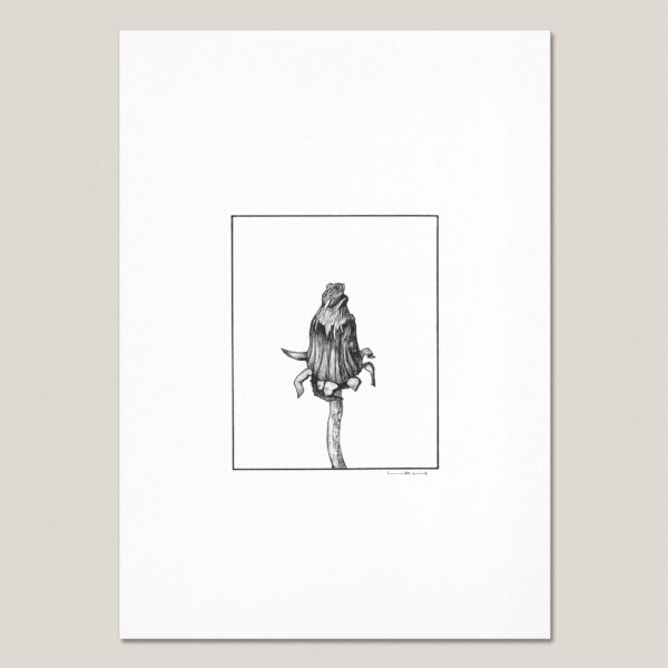 Dandelion fine art print featuring a hand-drawn dandelion flower head after flowering on a single curved stem.