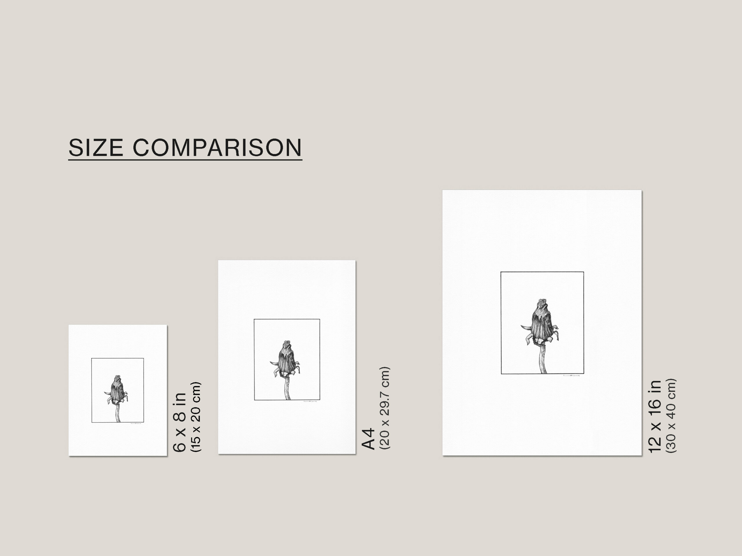 Size guide showing the Dandelion fine art print available in 6 × 8 in (15 × 20 cm), A4 (21 × 29.7 cm) and 12 × 16 in (30 × 40 cm).